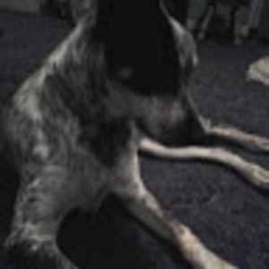 Meet your Posher, Alexander